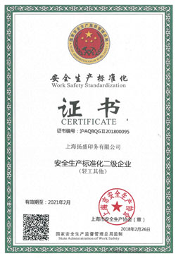 喜訊| 揚盛榮獲安全生產(chǎn)標準化二級證書